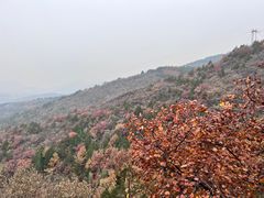 -红螺寺