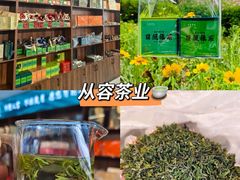 -日照海滨国家森林公园