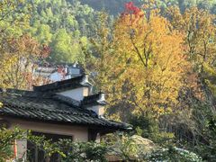 -塔川景区