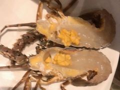 -青蓬蒸汽海鲜·深圳老字号·团建聚会(壹方城店)