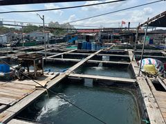 -蓝湾碧波·老字号·疍家非遗海上餐厅