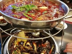 -川道拐耗儿鱼(旗舰店)