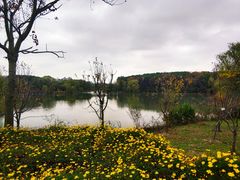 -昆山城市生态森林公园