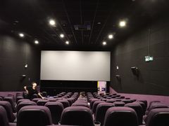 -中影嘉华国际影城(大芬星都里店)