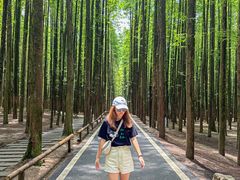 -山王坪喀斯特国家生态公园