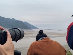 -北岐滩涂