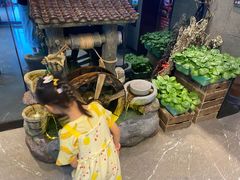 -番食园鲜食火锅(高新店)