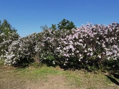 -长春公园(普阳街道)