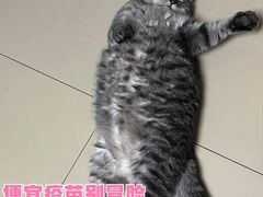 -北京佳信宠物医院