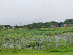 -上海怡沁园度假酒店
