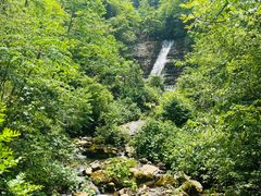 -鹿院坪生态旅游景区