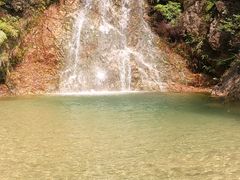 -南海湾森林生态园