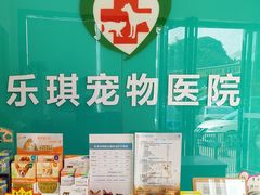 -乐琪宠物医院·犬猫专科·骨外科·急重症
