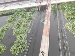 -河北村民俗体验园