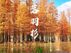 -白鹭湾湿地公园