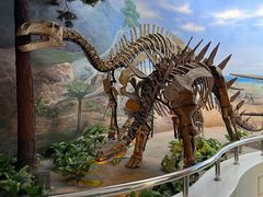 -延庆地质公园博物馆