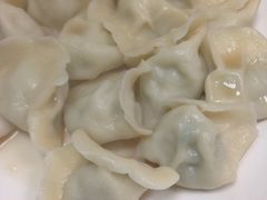 -东北四季饺子王(华山路店)
