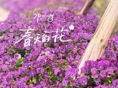 -梁鸿国家湿地公园