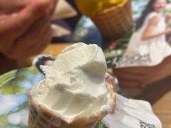 -野人先生现做冰淇淋(北京顺义祥云小镇店)