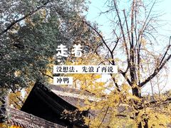 -成都市文殊院