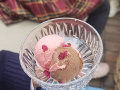 -大隐花事(熊婆婆的花园店)