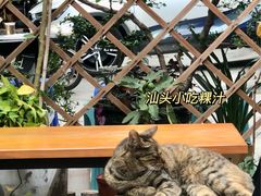 -汕头小吃粿汁(怡居街店)