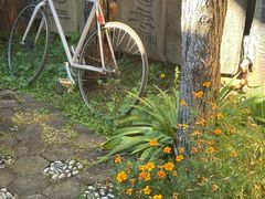 -田德能咖啡博物馆