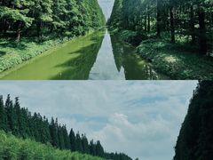 -黄海国家森林公园