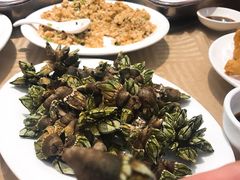 白灼九爪-新享乐海鲜(翠华路店)