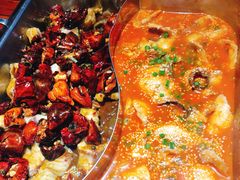 -齐祺鱼锅.清真(兰考店)