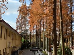 -T80科技文化国际社区-停车场