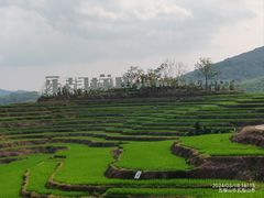 -牙胡梯田景区