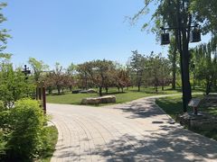 -晋祠公园