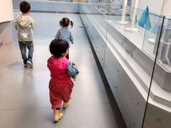 -陕西自然博物馆