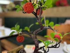 -椿记烧鹅(叠彩店)