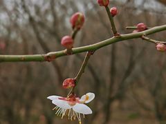 -南京市江宁方山