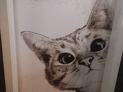-猫尾侦探俱乐部·剧本杀·狼人杀