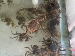 -蟹道河蟹大米商行