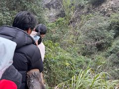 -雁荡山风景名胜区