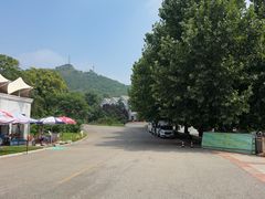 -燕塞湖鸟语林景区