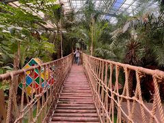 -呀路古热带植物园