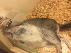 -龙猫仔乐园(惠福东路店)