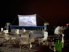 -合肥滨湖国家森林公园