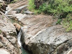 -广州白江湖森林公园