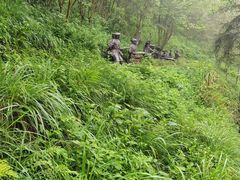 -娄山关景区