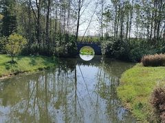 -溱湖国家湿地公园