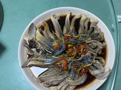 -煲来饱去冷水鱼