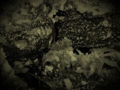 -老湖南湘土菜馆(普阳街店)