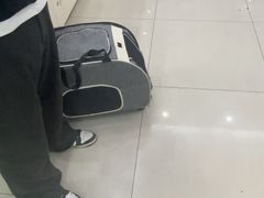 -全心全意连锁动物医院·微创中心·内科急重症·心脏专科(丰管路店)