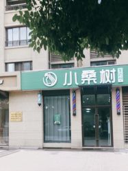 -小桑树染烫改变专门店